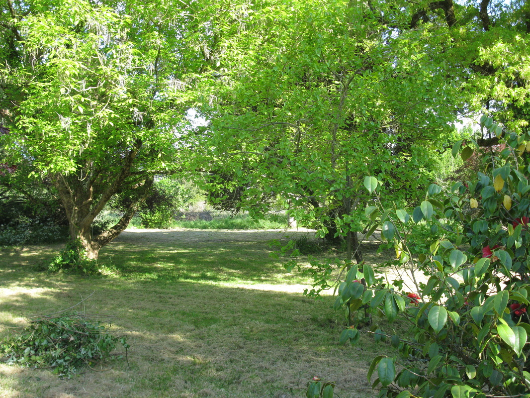 Blick in den 7000qm großen Garten / Vue sur le jardin de 7000 m²